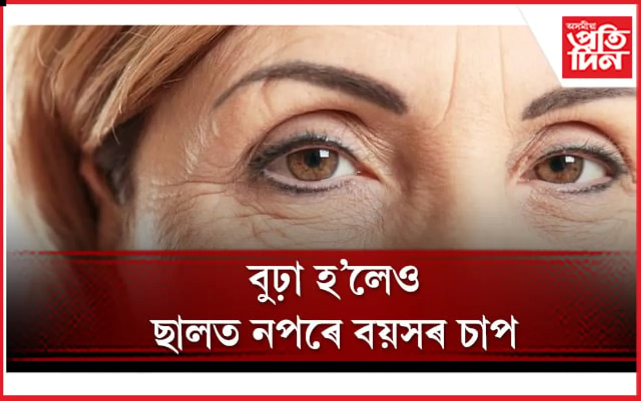 দৈনিক খাবলৈ আৰম্ভ কৰক এই ৩ বিধ ফল 