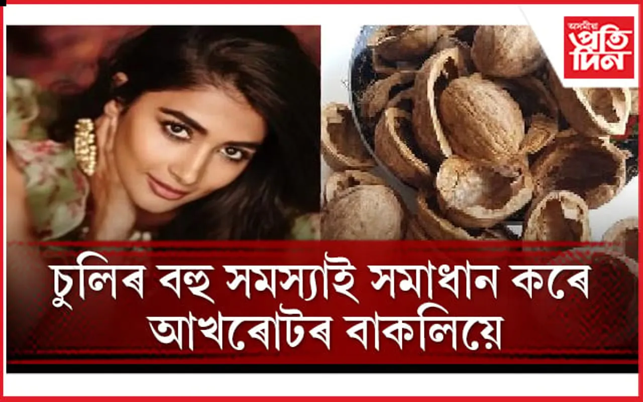 কিদৰে ব্যৱহাৰ কৰিব লাগে আখৰোটৰ বাকলি, জানি লওঁক