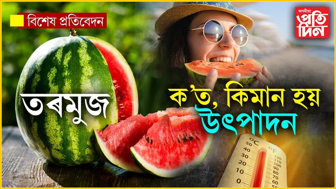 উৎকট গৰম, দহিছে দেহাঃ গা শাত পেলোৱাত তৰমুজ ৰজা...