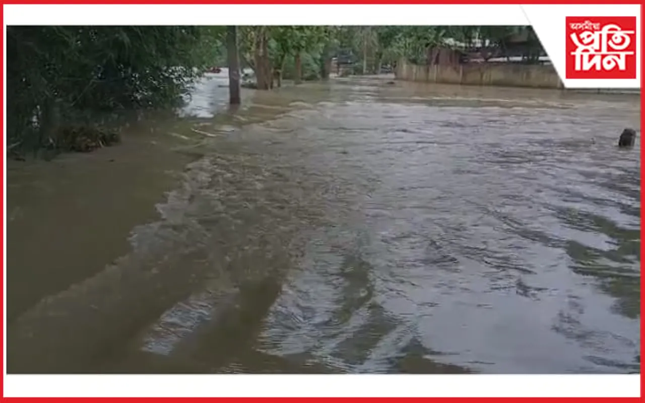 কামপুৰত অৱ্যহাত আছে বানৰ সংহাৰী ৰূপ : ব্যাহত হৈ পৰিছে যাতায়ত