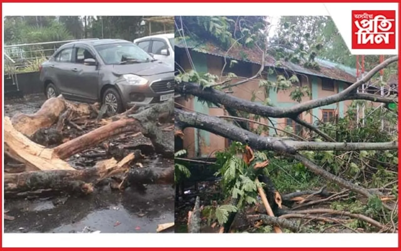 নগাঁৱত ৰীমালৰ প্ৰভাৱঃ সকলো শিক্ষানুস্থান বন্ধ ঘোষণা...