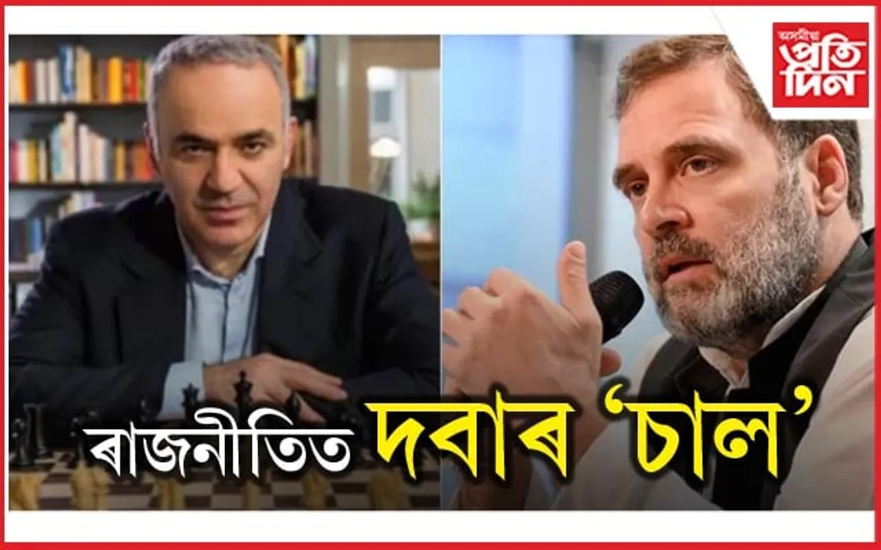 'প্ৰথমে ৰায়বেৰলীত জিকি লওক': প্ৰিয় দবা খেলুৱৈয়ে কিয় ৰাহুলক ক'লে এইদৰে...