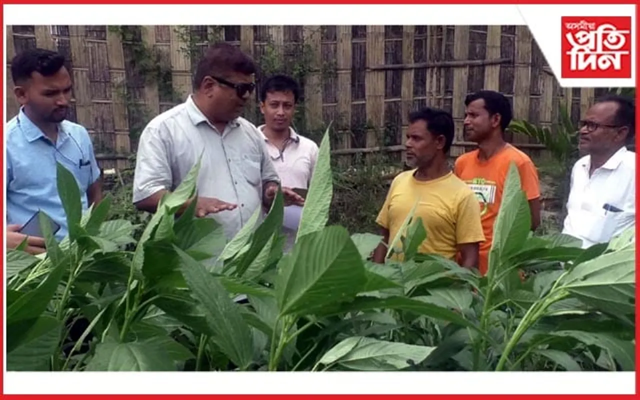 মানকাচৰত ৰূপান্তৰ আৰু উন্নয়ন বিভাগৰ বিষয়াৰ দলৰ কৃষিপথাৰ পৰ্যবেক্ষণ