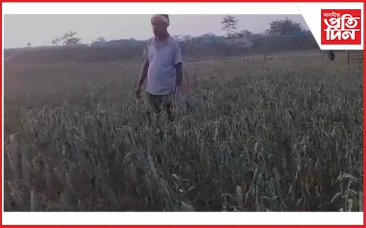 তীব্ৰ খৰাঙে দহিছে উত্তৰ অসম...