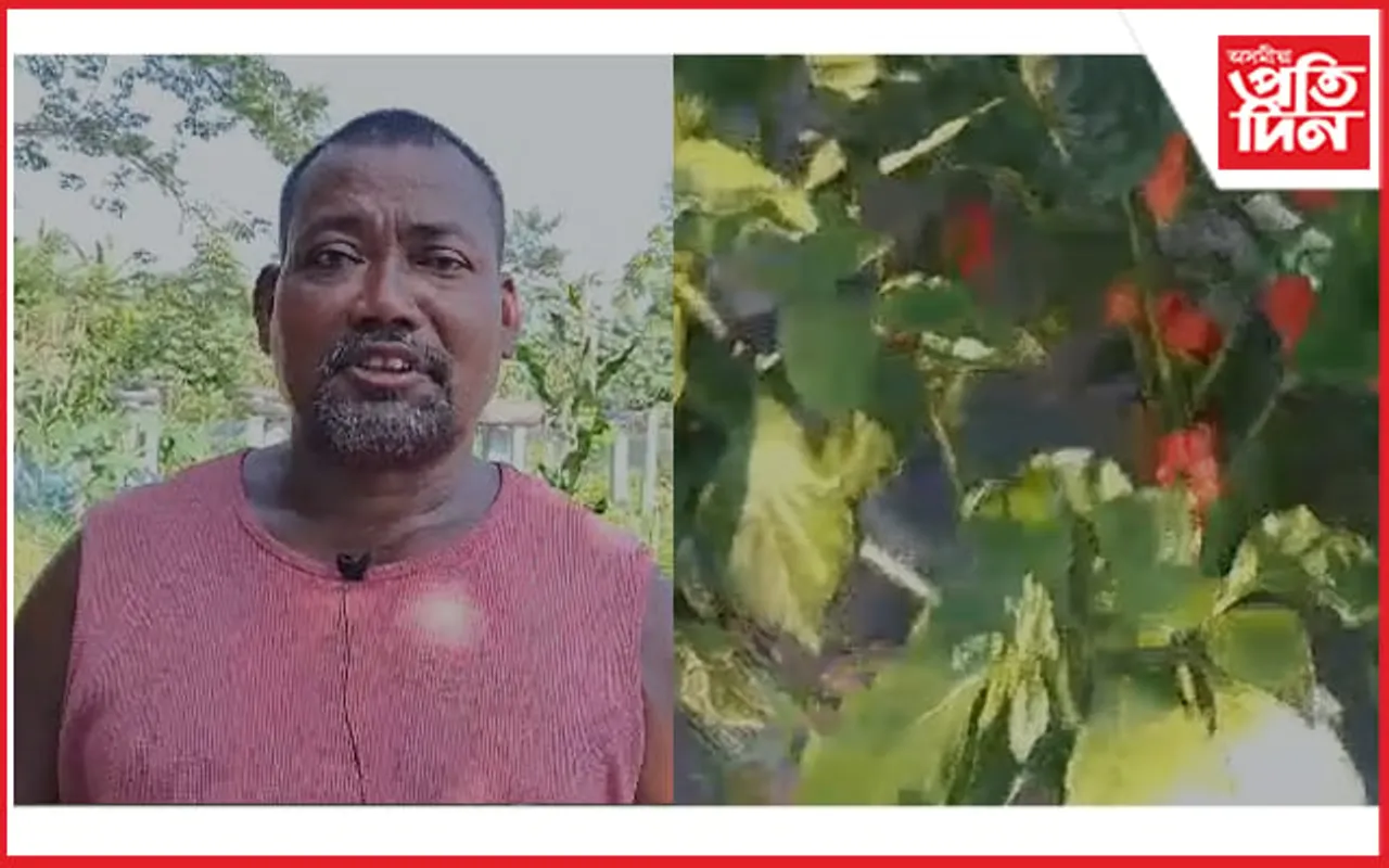 ভোট জলকীয়া,ড্ৰেগন ফল আদিৰে স্বাৱলম্বিতাৰ নিদৰ্শন দাঙি ধৰিছে নয়ন গয়াৰী আৰু বিমল নাৰ্জাৰীয়ে