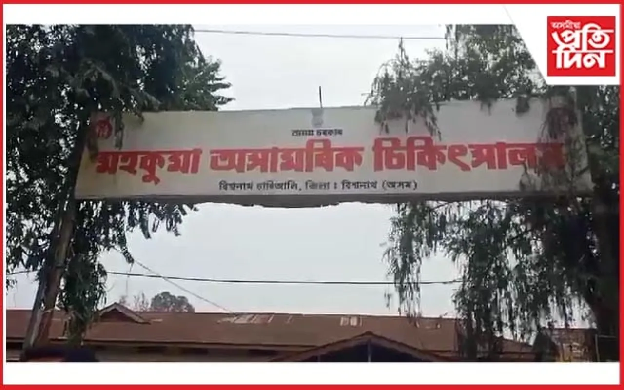 বন্ধুৰ জন্মদিন উদযাপন কৰা নহ'ল! ফটো উঠিবলৈ গৈ প্ৰাণ গ'ল সুমিতৰ...