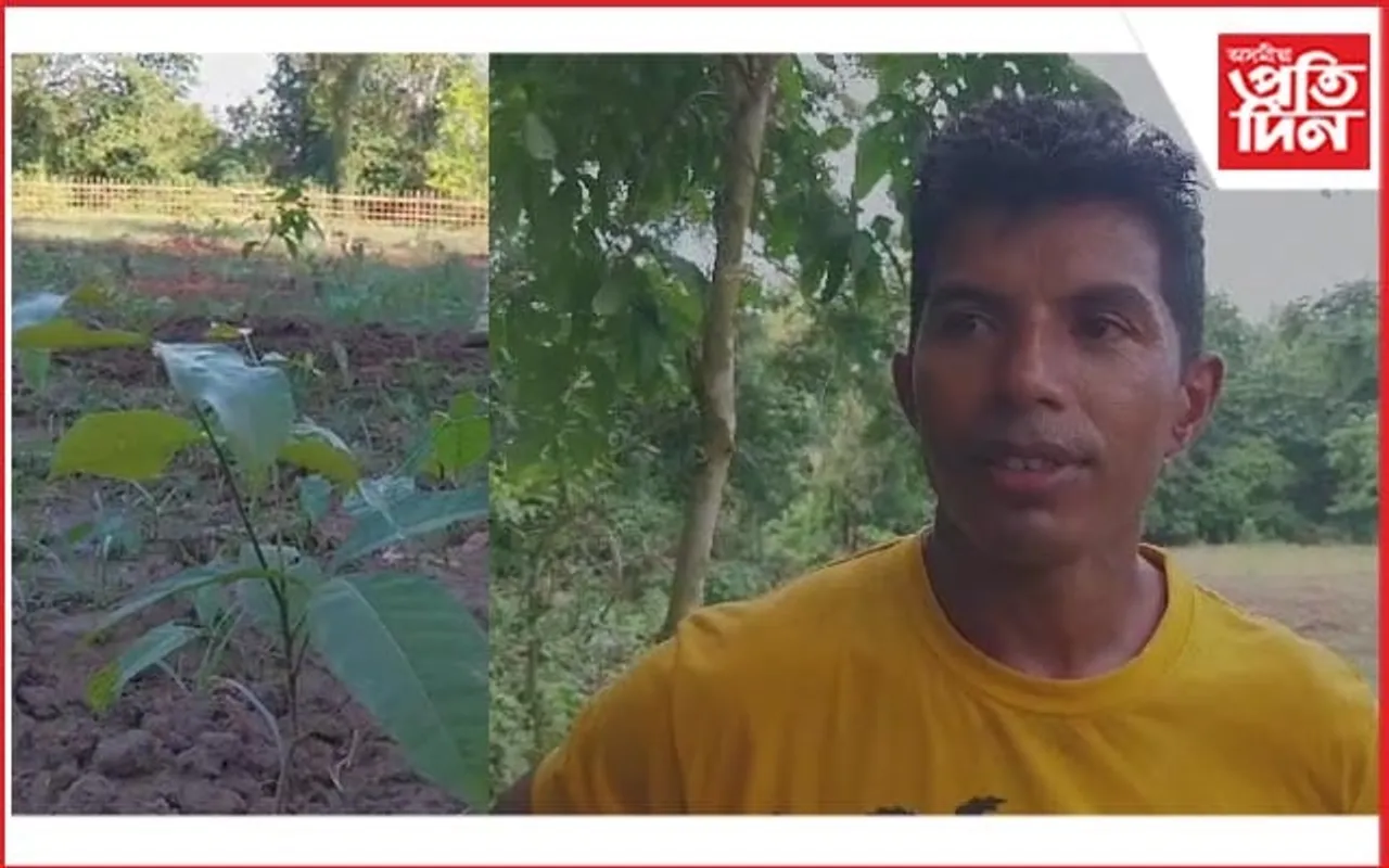 সেউজ ধৰণীৰ স্বপ্ন নগাঁৱৰ ধন্টী শ‌ইকীয়াৰঃ এহাজাৰৰো অধিক গছপুলি ৰোপন... 