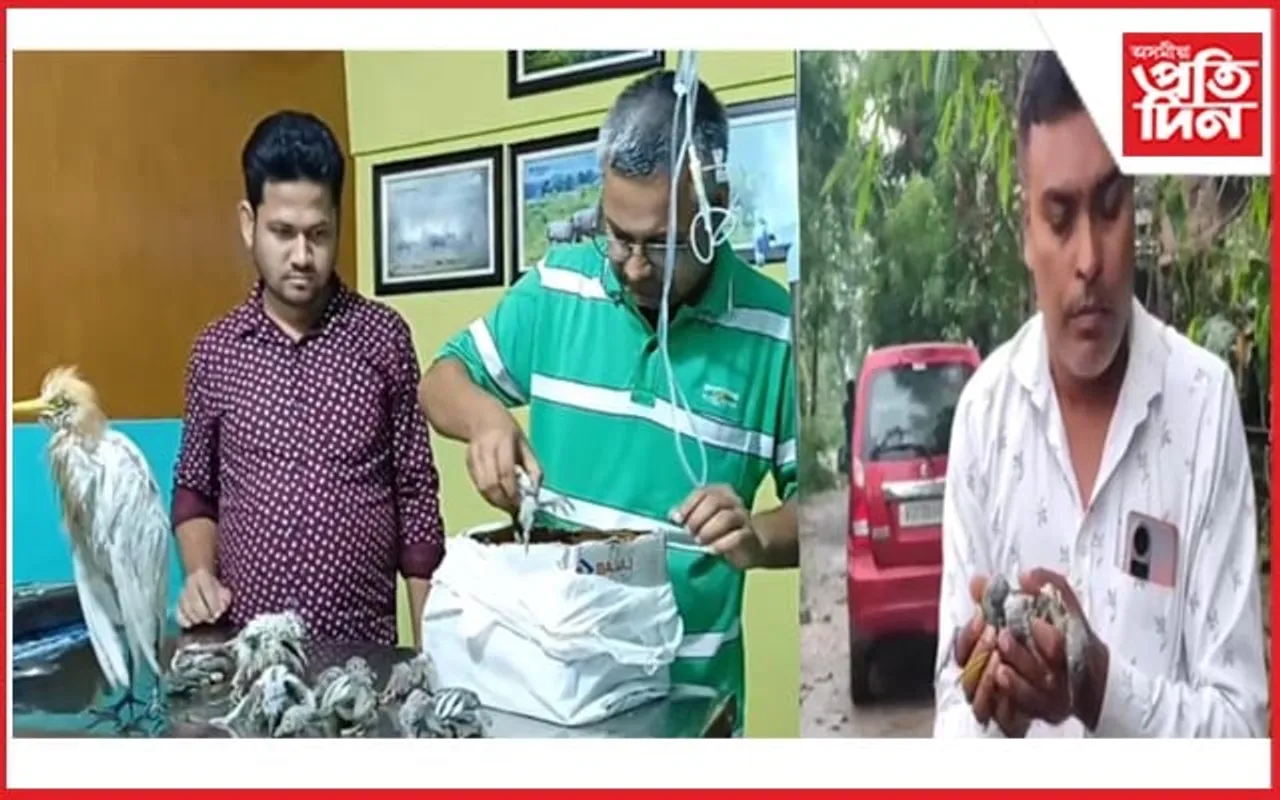 ধুমুহাত আঘাতপ্ৰাপ্ত বগলীক উদ্ধাৰ কৰি চিকিৎসা প্ৰদান সাংবাদিকৰ