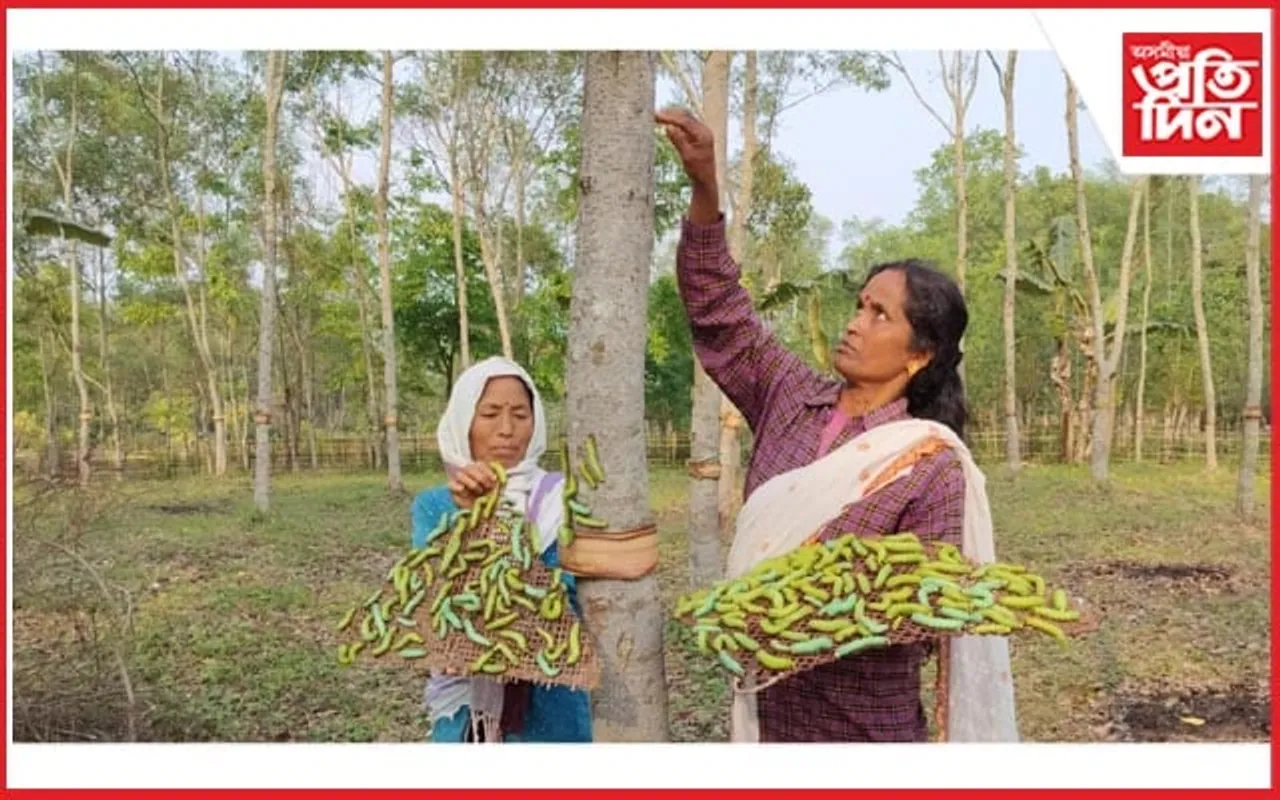 ঢকুৱাখনাৰ মুগা চুমনীত বৰমুগা দিৱস উপলক্ষে চোম পুলি ৰোপণ