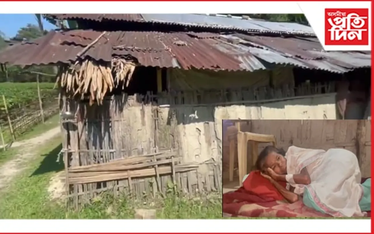 উৱলি যোৱা জুপুৰিত দুৰ্বিষহ জীৱন কটাইছে চাবুৱাৰ এগৰাকী বৃদ্ধাই...