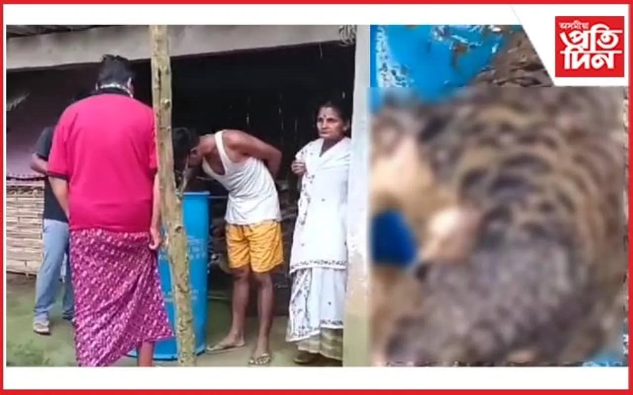 নামতিৰ শালকাঠনিত দুষ্প্ৰাপ্য বনৰৌ উদ্ধাৰ
