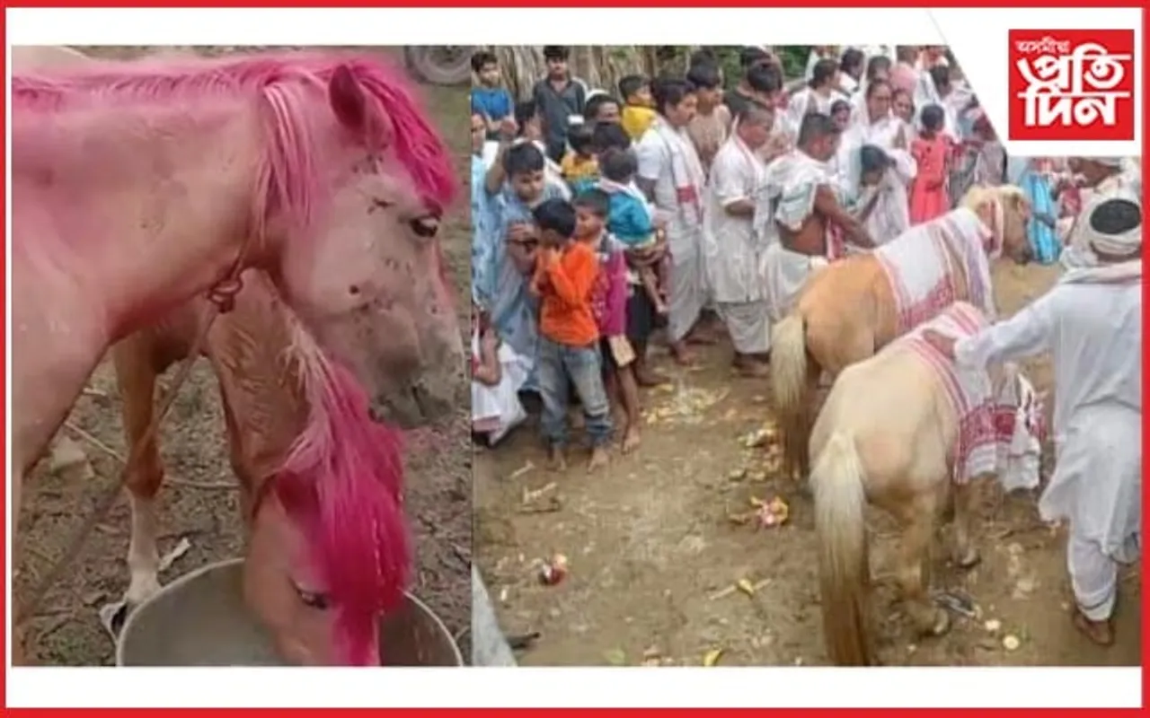 ভগৱানৰূপী বগা ঘোঁৰাৰ কাহিনীৰ যৱনিকা..