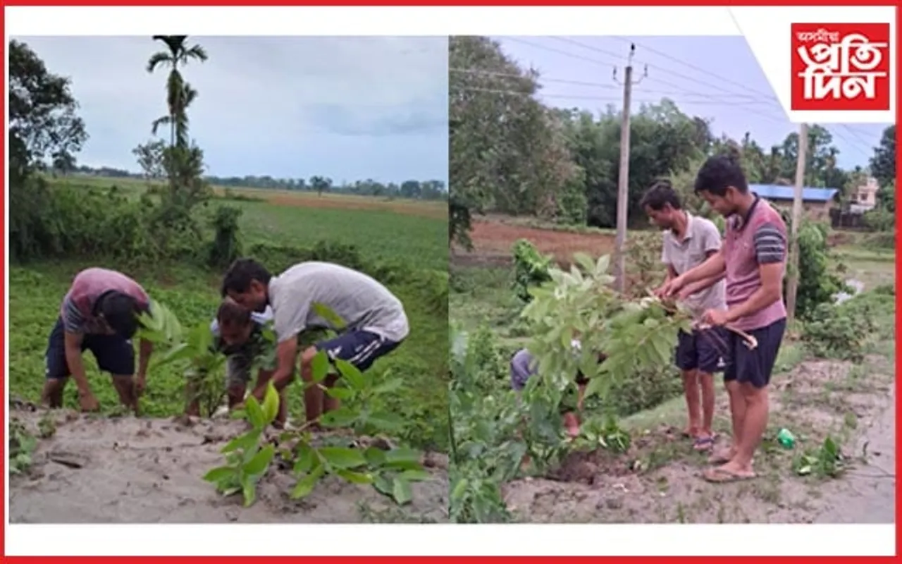 বটদ্ৰৱা থানলৈ অহা তীৰ্থযাত্ৰীক ছাঁ দিবলৈ  গছপুলি ৰোপণ ৰাইডঙীয়াৰ যুৱকৰ 
