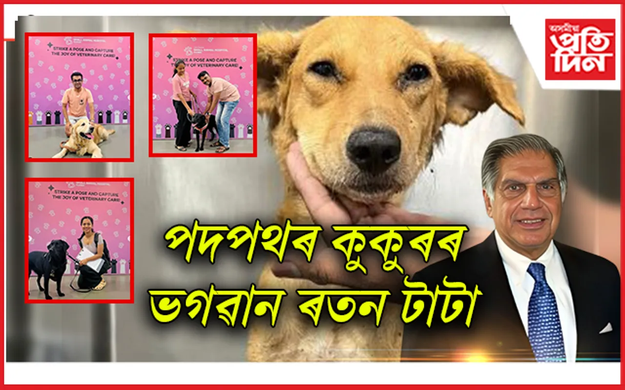 অসুস্থ পদপথৰ কুকুৰক সুস্থ কৰিবলৈ ৰতন টাটাই দিলে আহ্বানঃ মুম্বাইবাসীয়ে দিলে সহাৰি