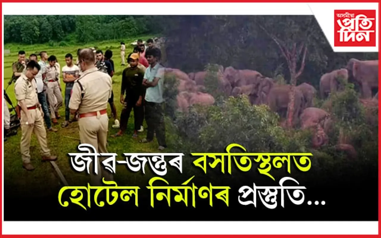 হাতীৰ বিচৰণভূমি ধ্বংস কৰি পঞ্চতাৰকাযুক্ত হোটেল নিৰ্মাণৰ যো-জা : জাঙুৰ খাই উঠিল জীপাল কৃষক শ্ৰমিক সংঘ