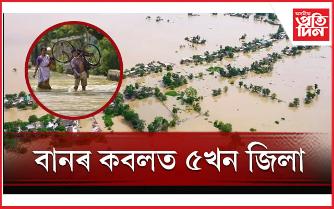 ৰাজ্যত বানৰ সন্ত্ৰাসঃ ৫খন জিলাৰ ৩৮৩খন গাওঁ এতিয়াও বানৰ কবলত