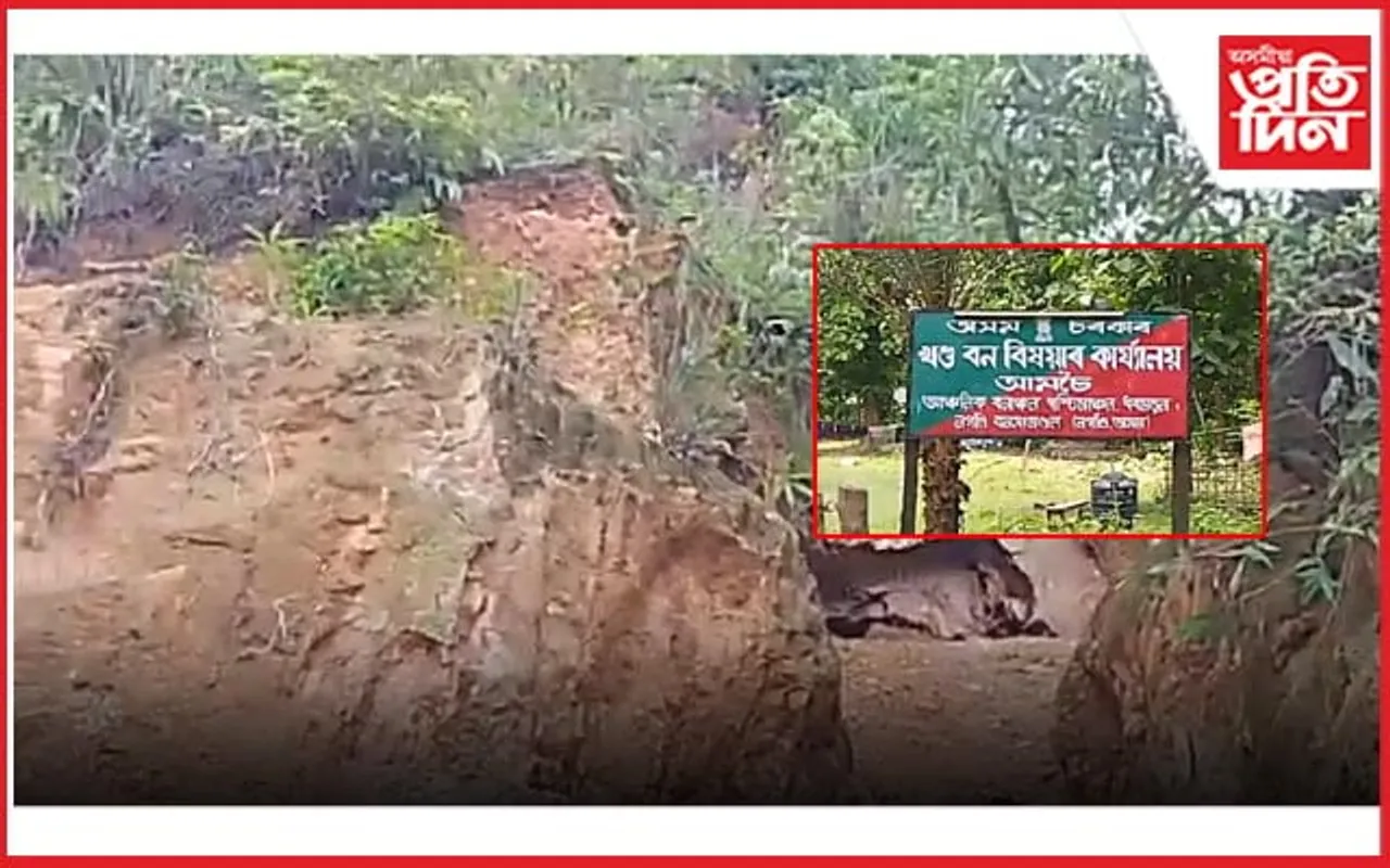 ৰহাৰ আমচৈত বন বিভাগৰ জ্ঞাতসাৰে অবৈধ শিলখনন...