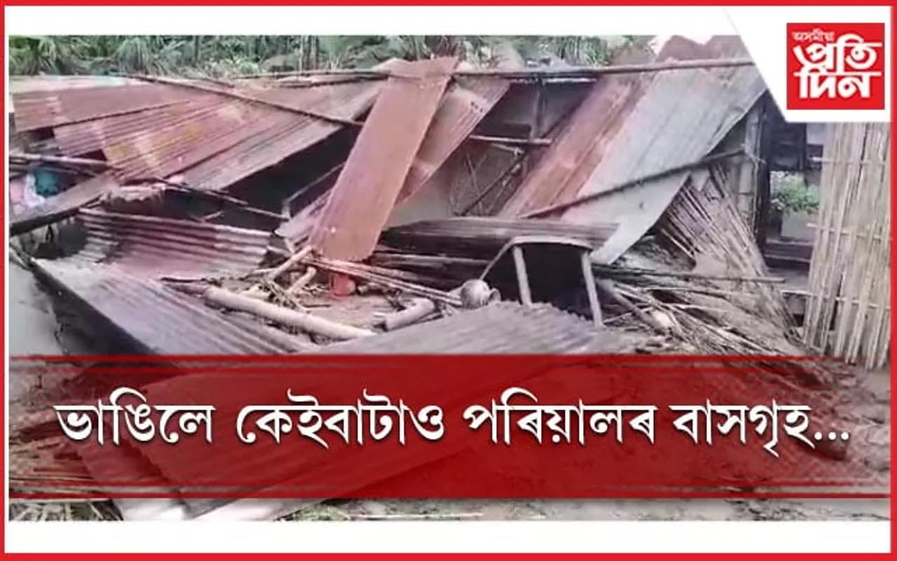 বন্যহস্তীৰ উপদ্ৰৱ: নিদ্ৰা হৰিছে সীমান্তবাসী ৰাইজৰ