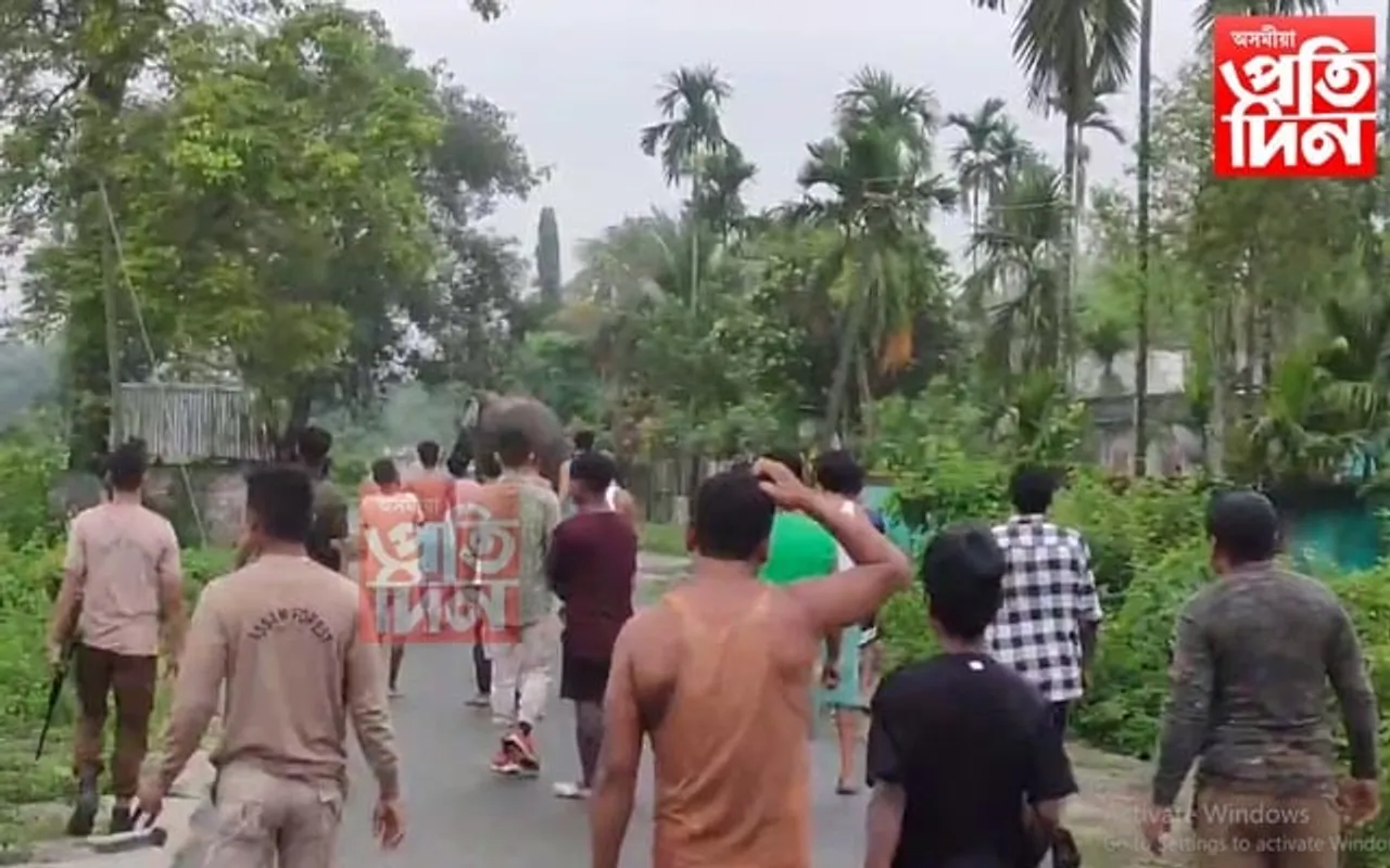 চাৰিদুৱাৰত বনৰীয়া হাতীয়ে  ত্ৰাহি মধুসুদন সোঁৱৰাইছে গঞা ৰাইজক...