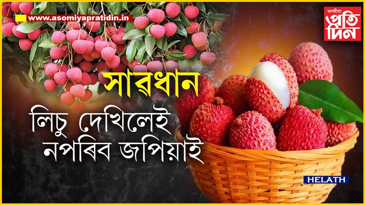 লিচুঃ সোৱাদ মিঠা কিন্তু এইসকলে খালে লাগিব লেঠা...