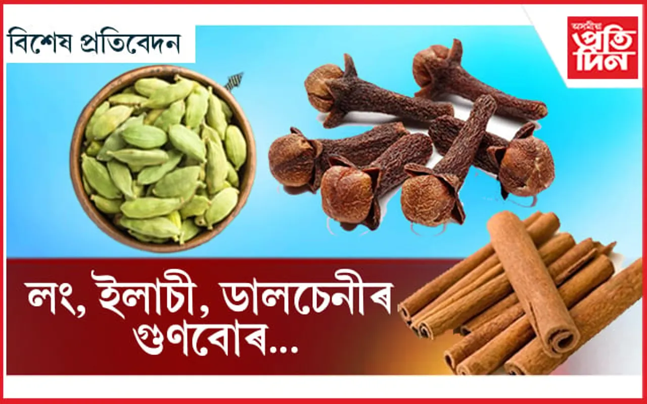 খায় নে লং,ইলাচি,ডালচেনীঃ গমেই নাপাব বহু ৰোগ পলাল কেনি...
