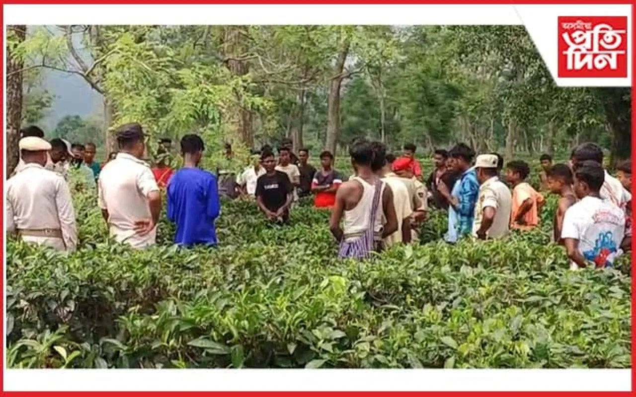 কন্দলী চাহ বাগিছাত যুৱকৰ মৃতদেহ উদ্ধাৰঃ হত্যাৰ সন্দেহ