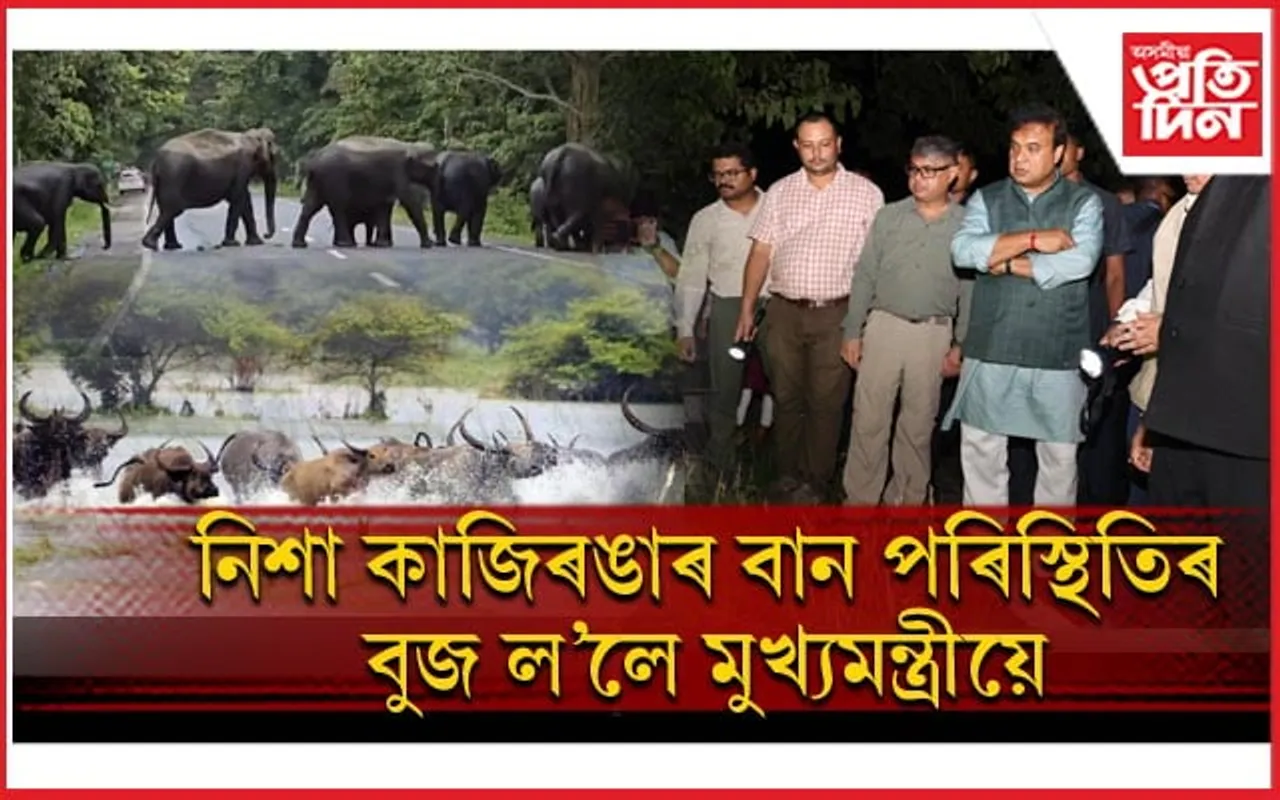 কাজিৰঙাৰ ১৬৩ টা বন শিবিৰ জলমগ্নঃ বনকৰ্মীৰ কাষত থিয় দিলে মুখ্যমন্ত্ৰী...