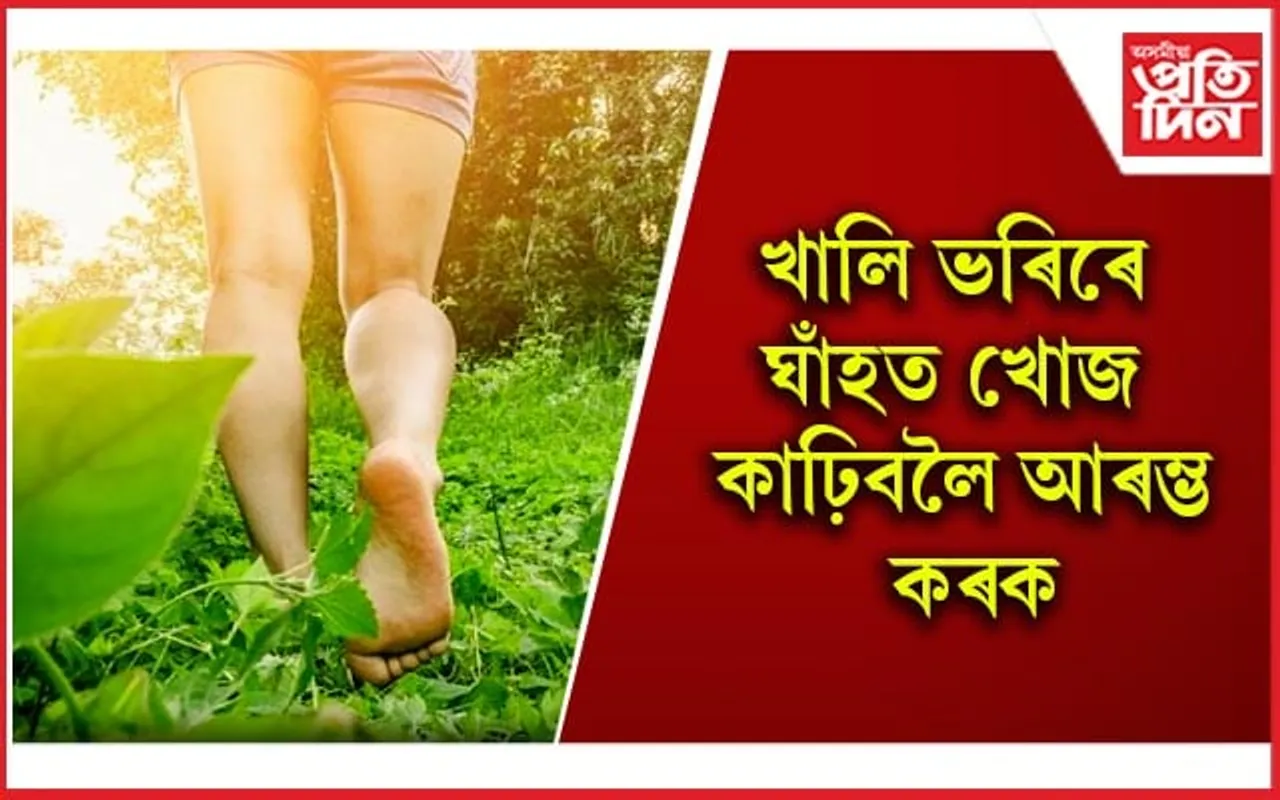 নিমিষতে দূৰ হ’ব মন, মগজু,কিডনী, লিভাৰৰ সমস্যা 