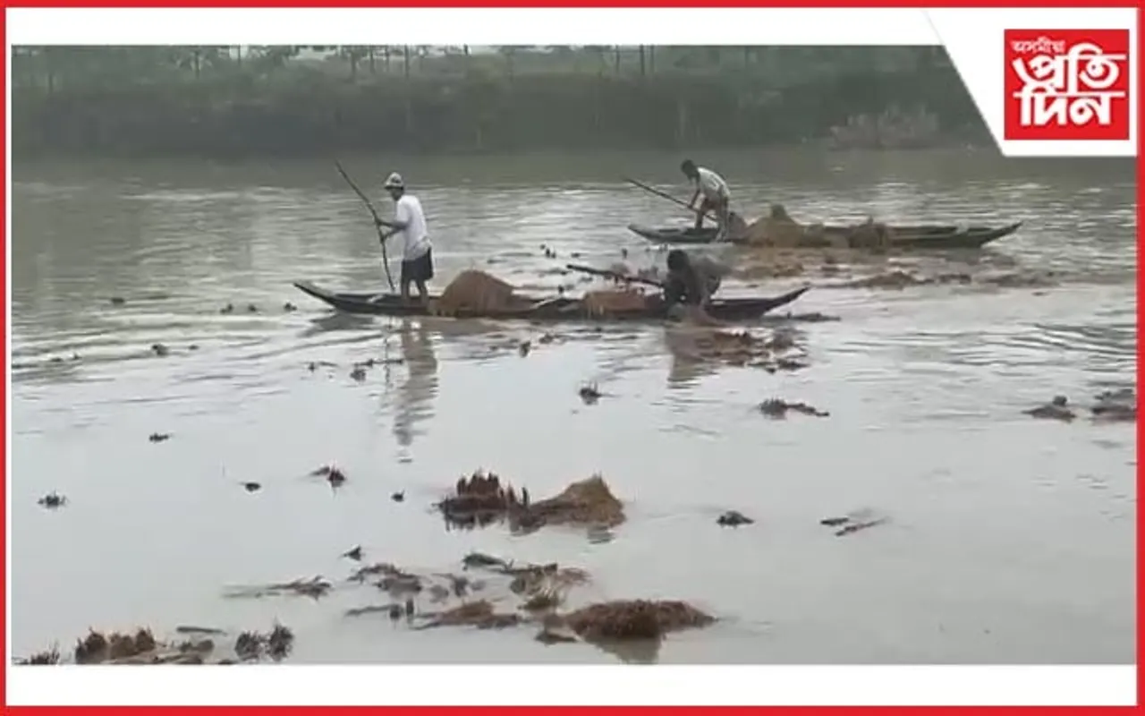 বংকোৱালৰ বানত মৃত্যু কৃষকৰ পশুধনৰ, উটি গ'ল ভঁৰালৰ ধান...