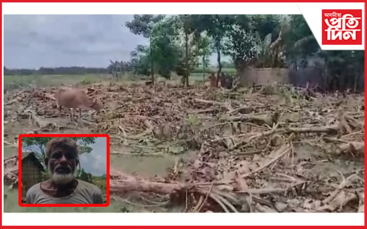 তমাৰহাটত দুখীয়া কৃষকৰ কলৰ বাগান ধ্বংস কৰিলে দুৰ্বৃত্তই : আৰক্ষী চকীত এজাহাৰ দাখিল