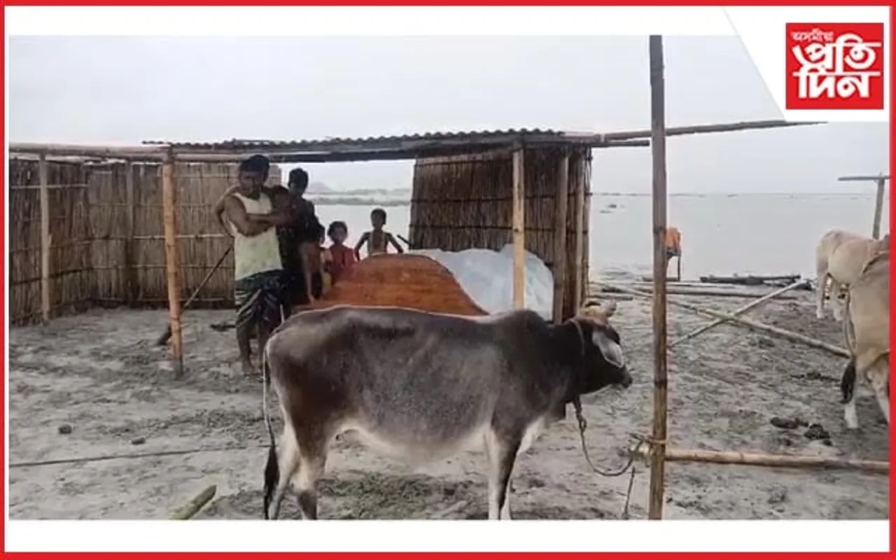 বানৰ কবলত মানকাচৰৰ দুই শতাধিক গাঁও...