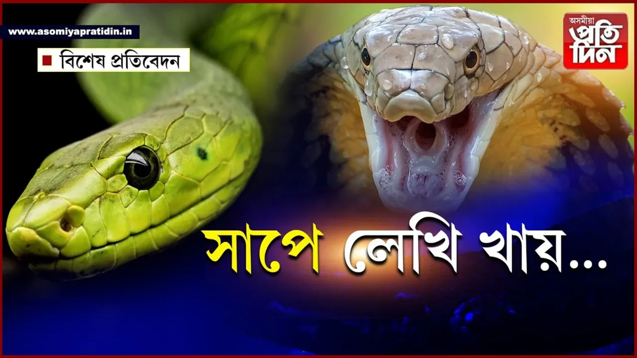 সাপ দেখিলেই আপুনি কিয় দিয়ে জাঁপ...