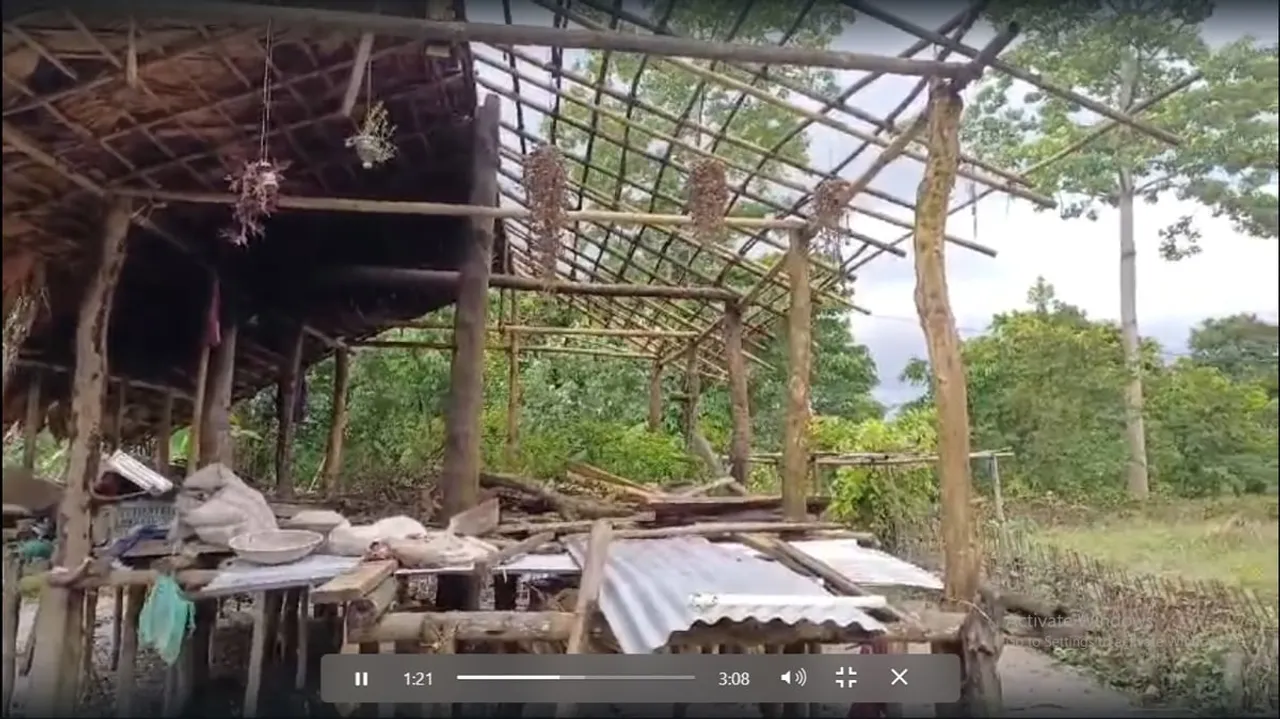 চিলাপথাৰত হাতীৰ আতংকত বিনিন্দ্ৰ ৰজনী কটাইছে নৈপৰীয়াই...