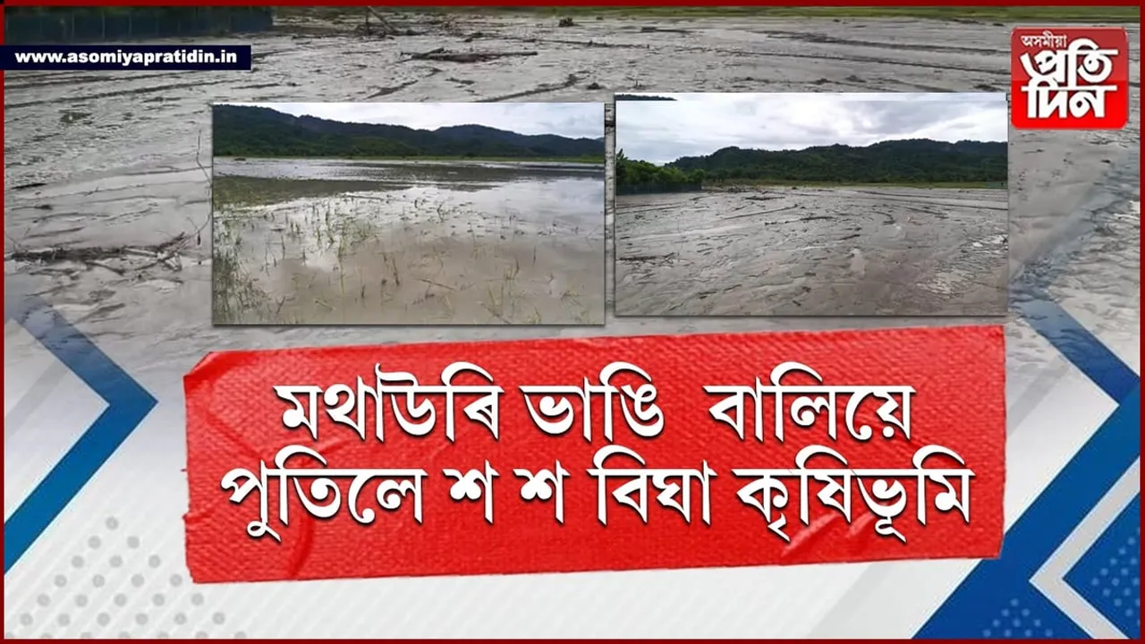 তিতাবৰ সীমান্তত প্ৰবল বৃষ্টিপাতঃ বৰহোলাত মথাউৰি ভাঙি  বালিয়ে  পুতিলে শ শ বিঘা কৃষিভূমি...