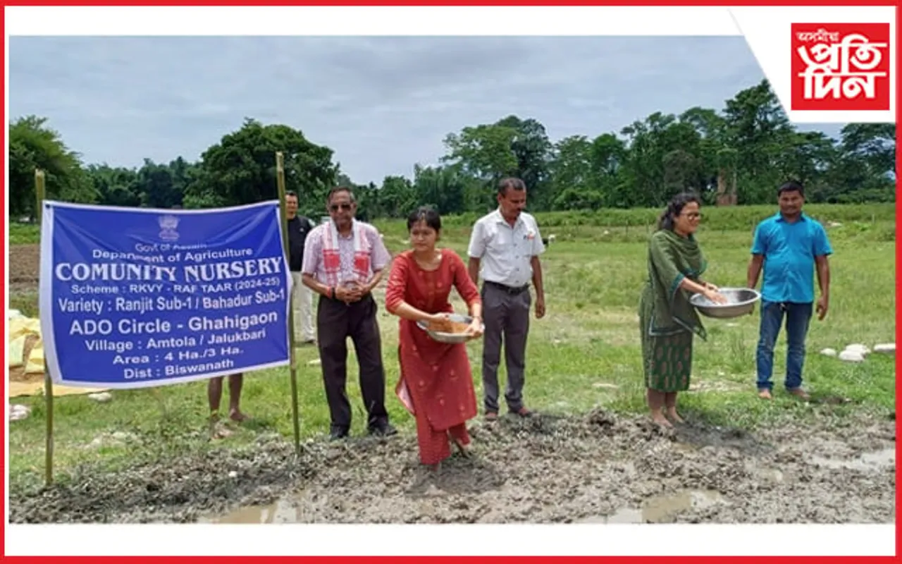 গহপুৰ মহকুমা কৃষি বিষয়া কাৰ্যলয়ৰ উদ্যোগ সমূহীয়া কঠীয়া সিঁচাৰ কাৰ্য্যসূচী আৰম্ভ...