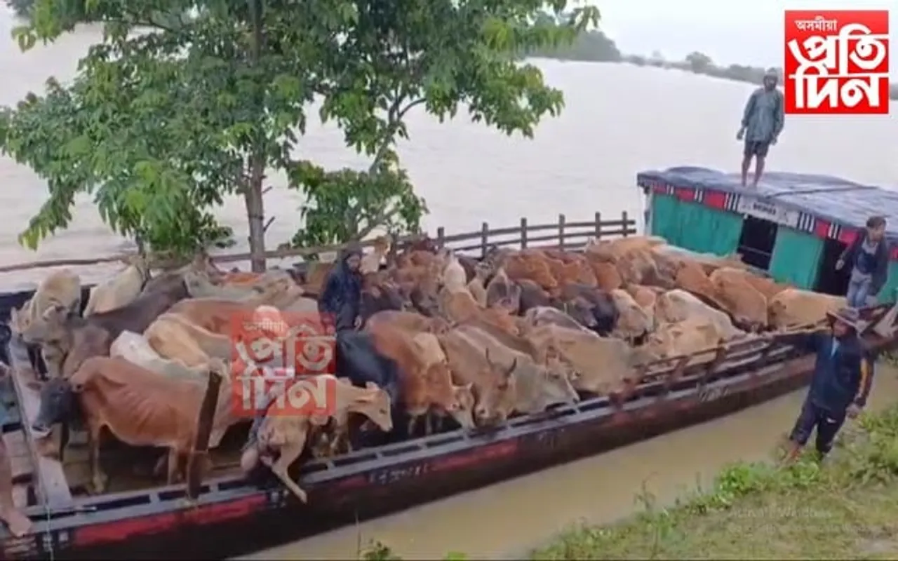 বানাক্ৰান্ত চিচি টঙানি অঞ্চল পৰিদৰ্শন মিচিং জনগোষ্ঠীয় সংগঠনৰ