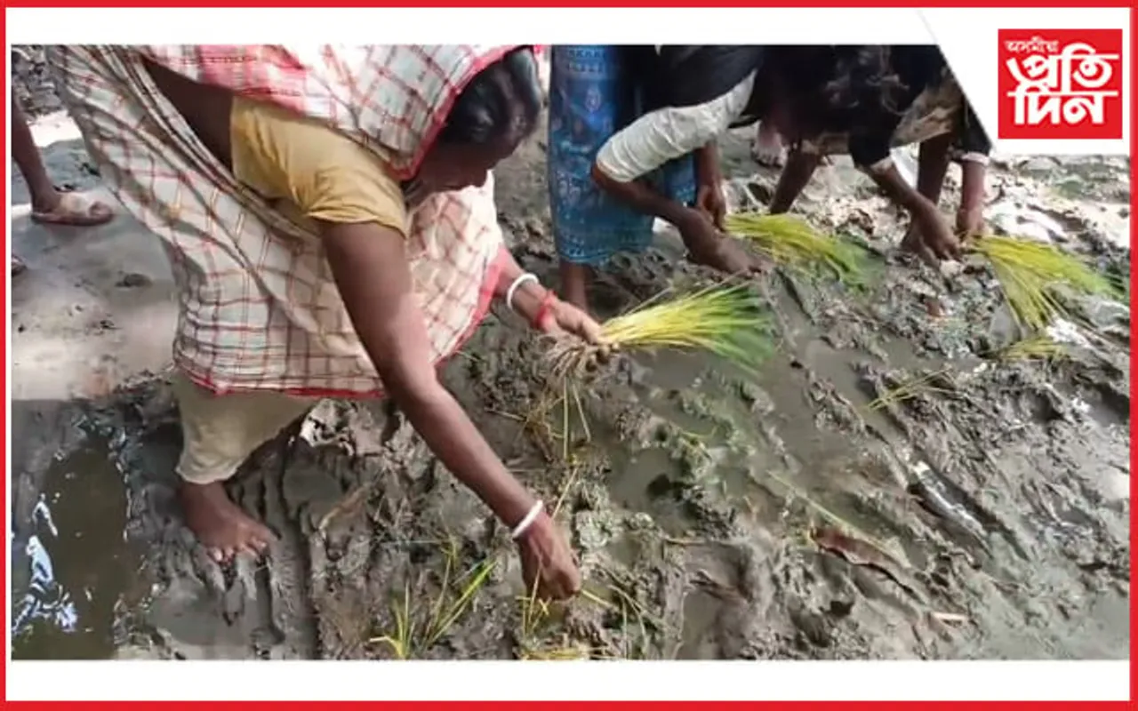 গহপুৰত পথৰ ওপৰত ভূই ৰুই প্ৰতিবাদ সাব্যস্ত কৰিলে ৰাইজে...