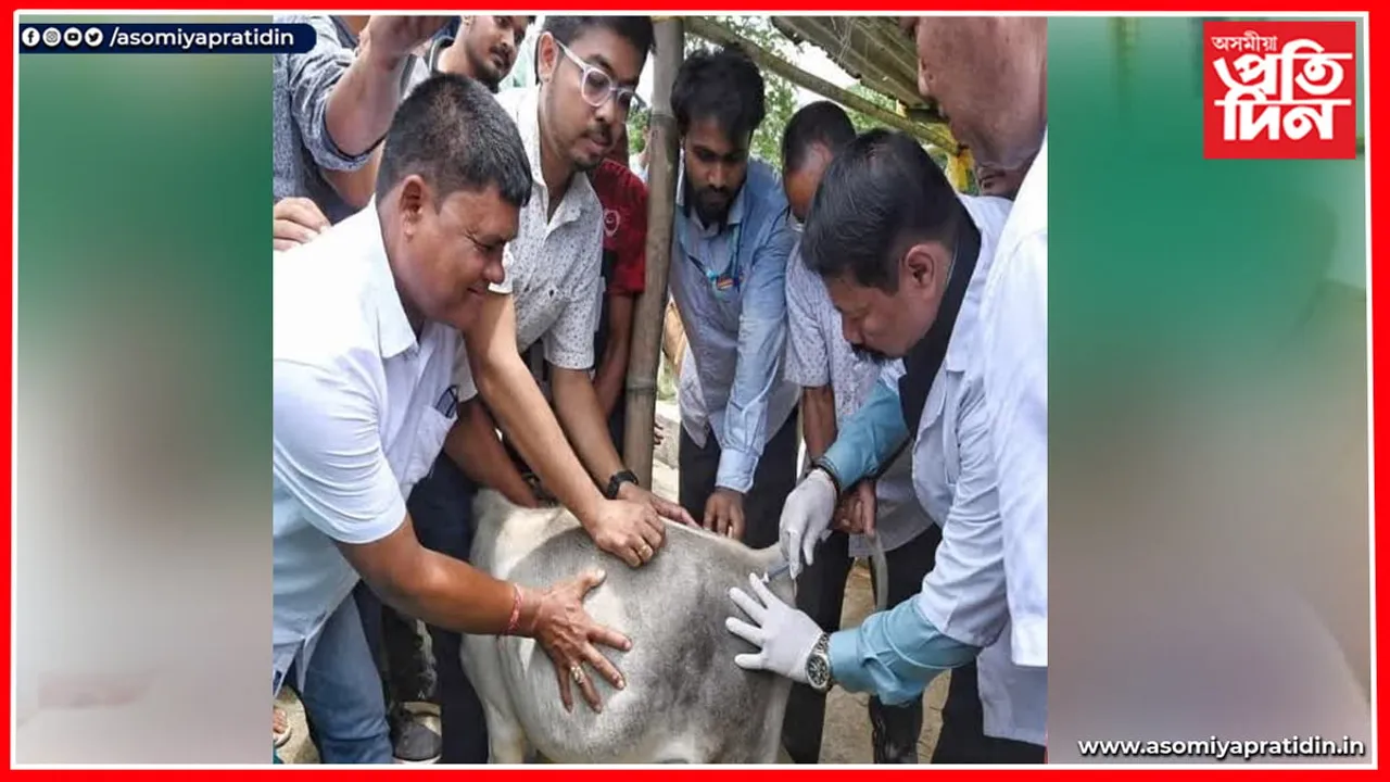 গৰুক বেজি দি বিপদত মন্ত্ৰী অতুল বৰাঃ কৃষক মুক্তিৰ এজাহাৰ দাখিল...