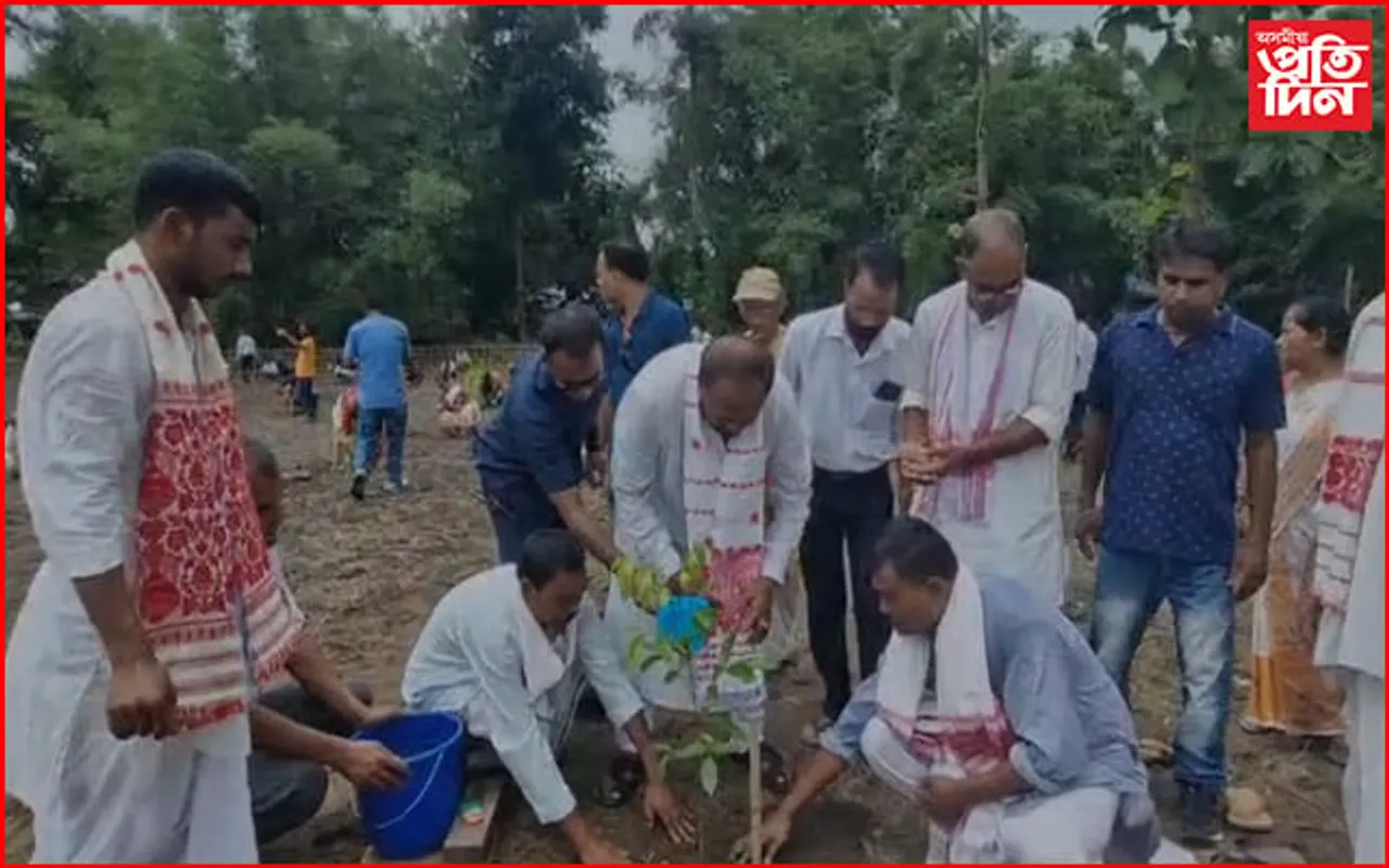 জামুগুৰিহাটত গছপুলি ৰোপন কাৰ্যসূচী...