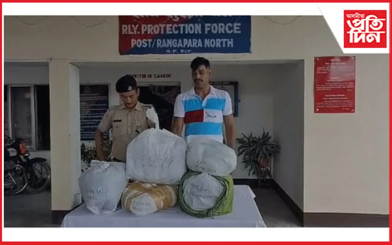 ৰঙাপৰাত যাত্ৰীবাহী ৰে'লত বৃহৎ পৰিমাণৰ নিচাযুক্ত দ্ৰব্য জব্দ