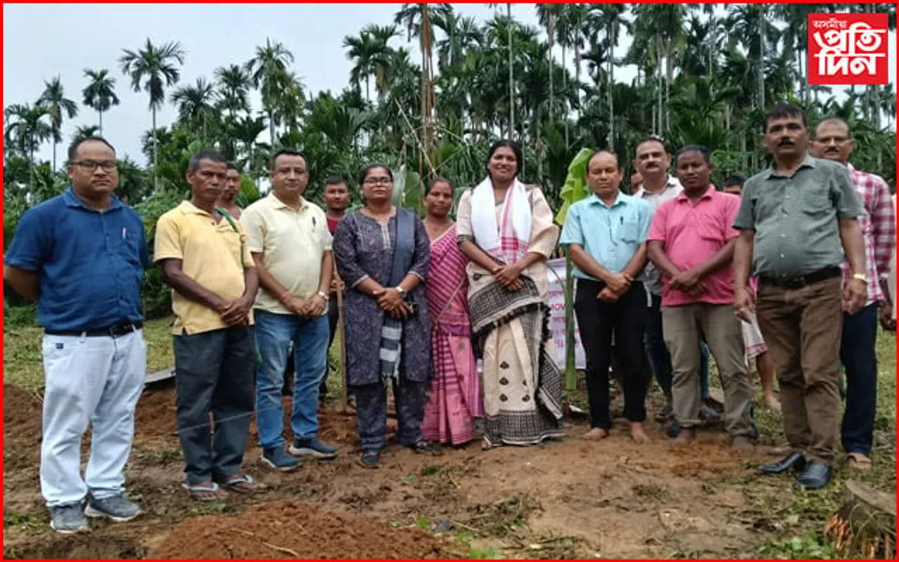 বকো পাইনেপল এফ পি চিৰ খাদ্য প্ৰক্ৰিয়াকৰণ গৃহৰ লাই খুঁটা স্থাপন