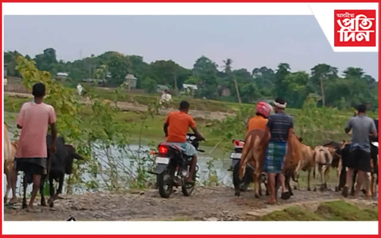 গৰুৰ চোৰাং কাৰবাৰক লৈ দক্ষিণ শালমাৰা ৰাজহ চক্ৰ বিষয়াক জিলা বিজেপিৰ সম্পাদকৰ লিখিত অভিযোগ