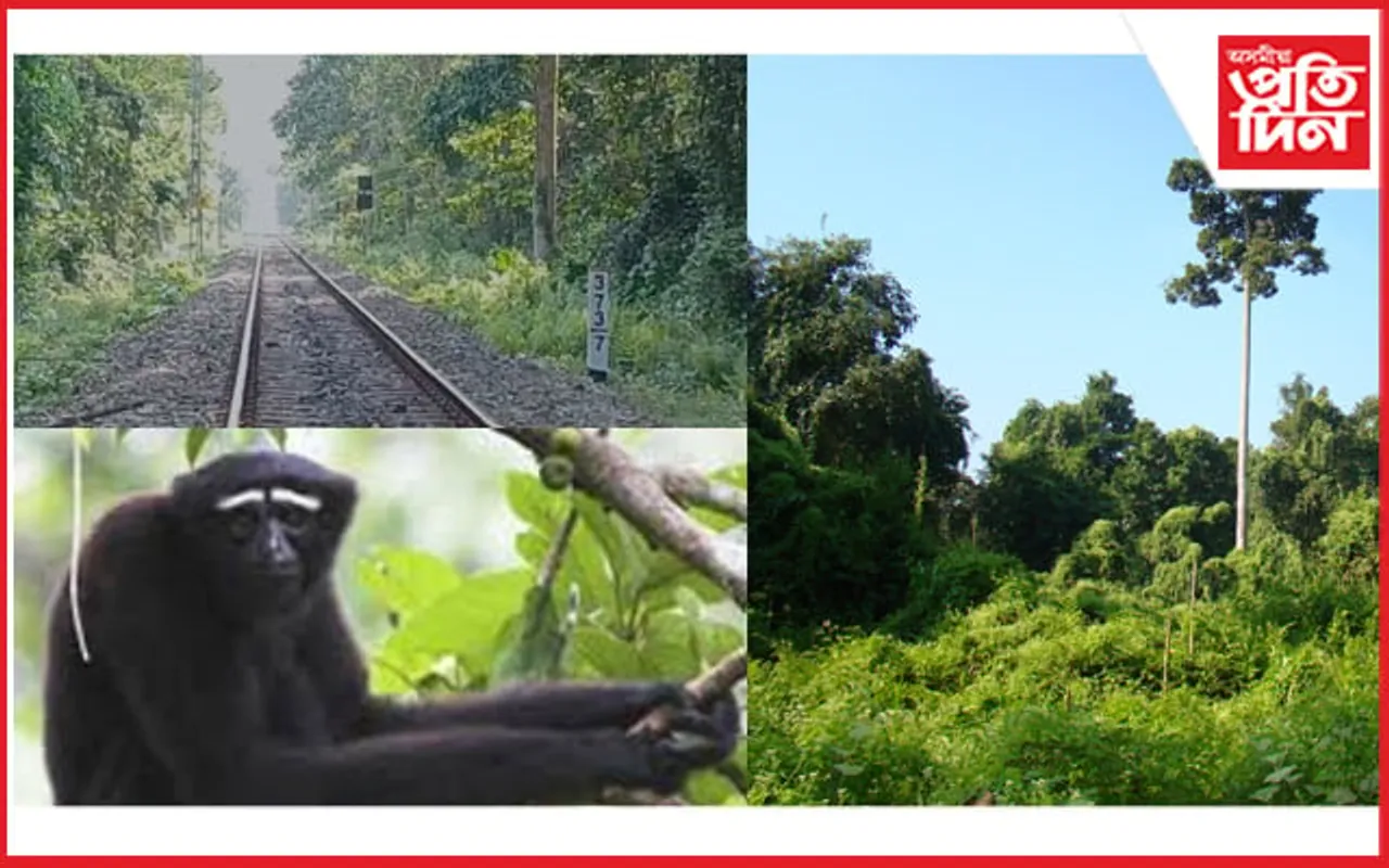 গিবনত তেল-গেছ খননৰ সিদ্ধন্ত বাতিল কৰক : এছ এফ আই- ডি ৱাই এফ আই