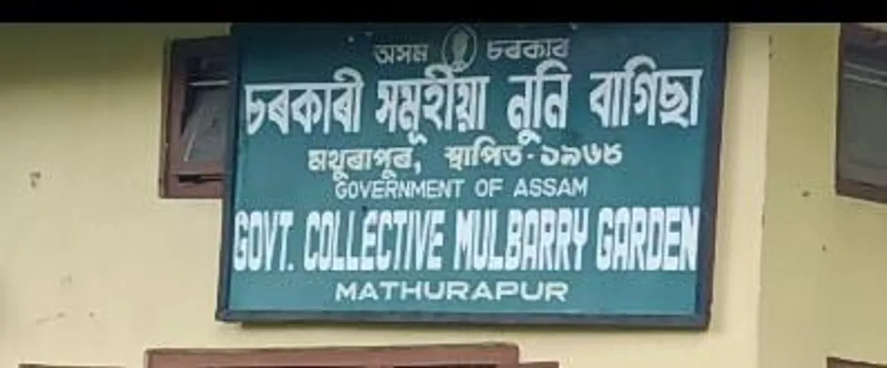 মথুৰাপুৰত শ্বৰ্ট-চাৰ্কিটৰ ফলত অগ্নিকাণ্ড : কথমপি ৰক্ষা পৰে চৰকাৰী নুনি ফাৰ্ম...