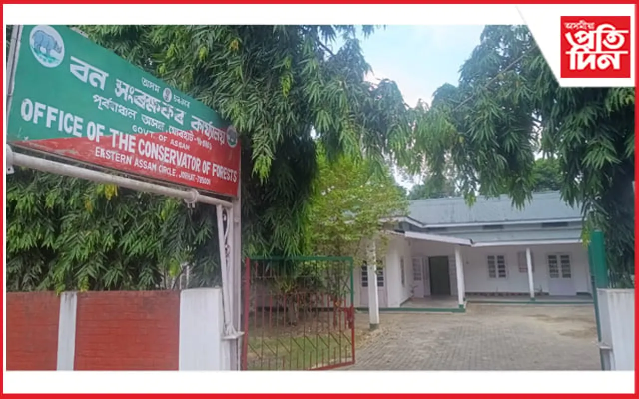 উজনি অসমক কয়লা-বন ধ্বংসৰ বাবে এৰি দিছে বন বিভাগে !