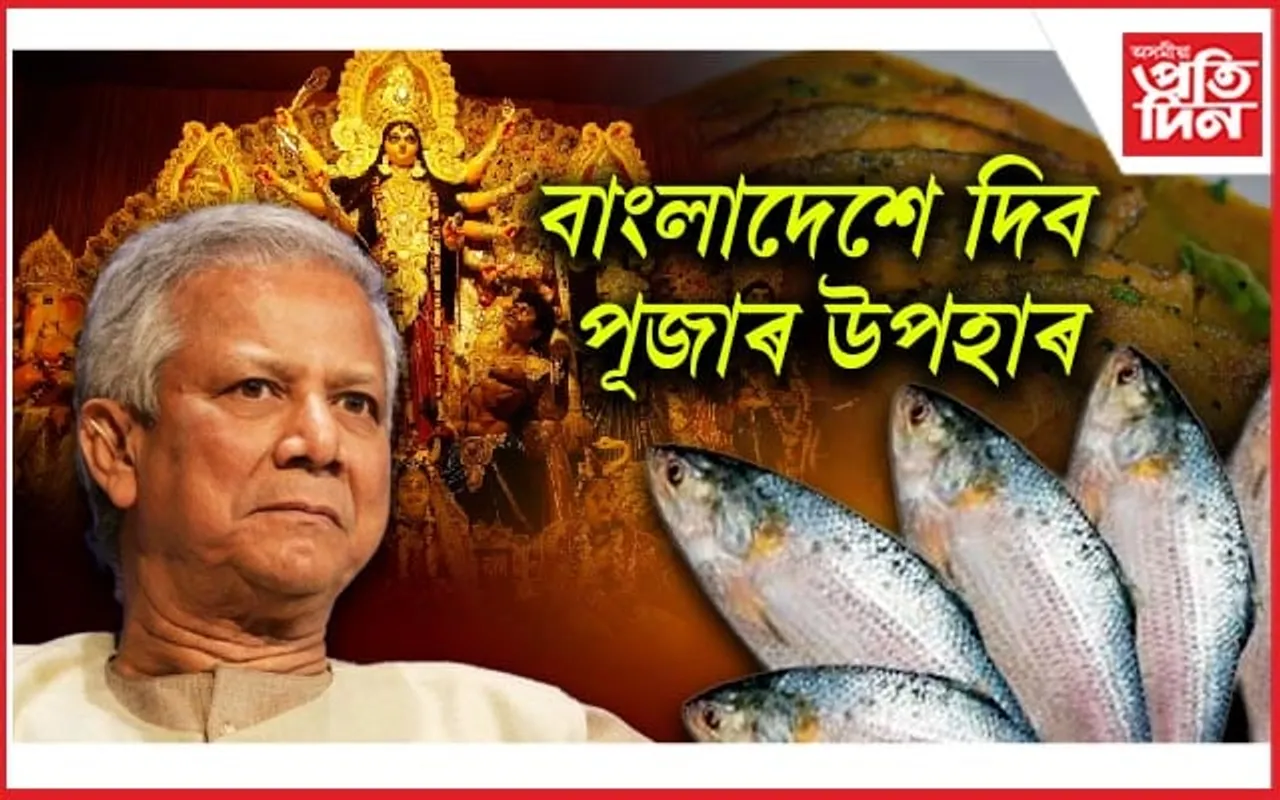পদ্মাৰ ইলিছৰ সোৱাদৰ পৰা বঞ্চিত বংগবাসীলৈ পঠিয়াব ৩ হাজাৰ টন ইলিছ