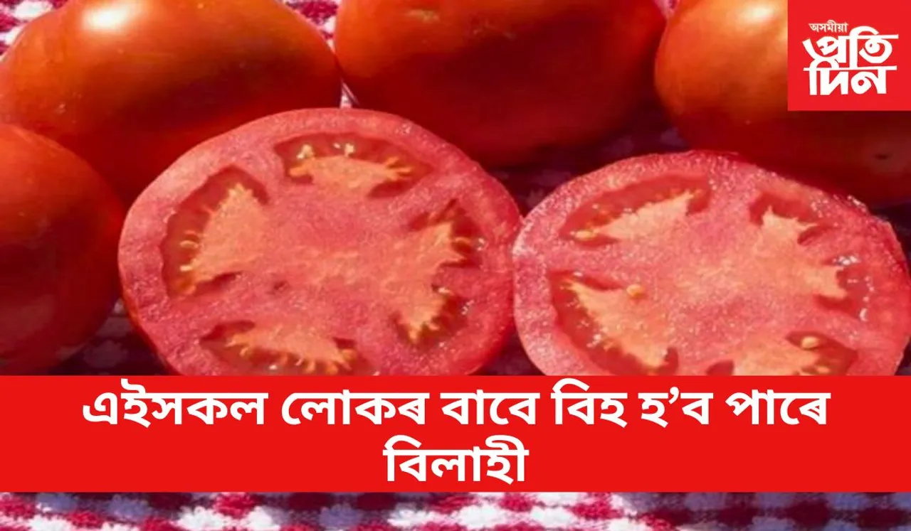 বিলাহী সকলোৰে বাবে উপকাৰী নহয় 
