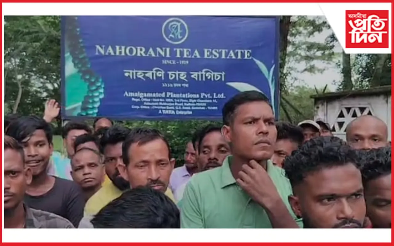 নাহৰণি চাহ বাগিচাত বনাচক কেন্দ্ৰ কৰি উত্তপ্ত পৰিস্থিতি