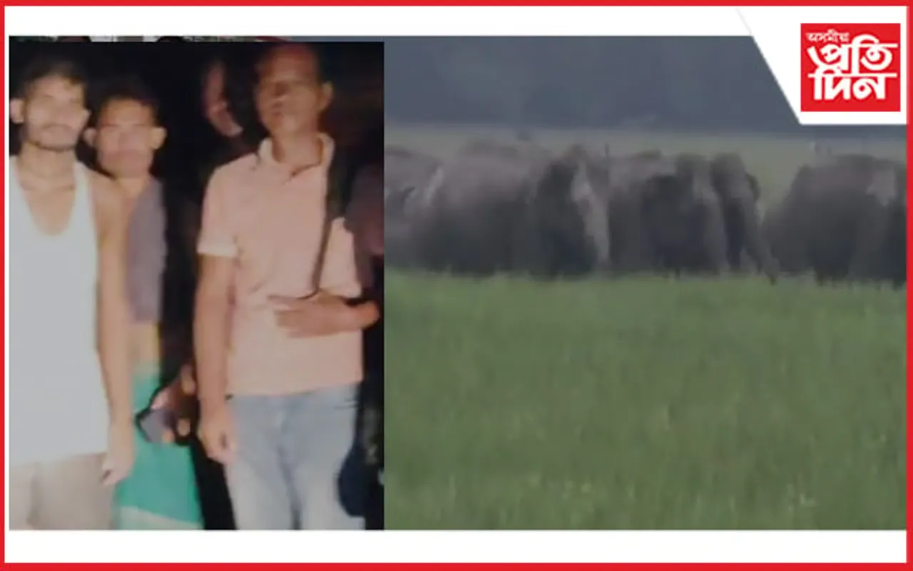 বিহালীৰ বিহমাৰীত বনৰীয়া হাতীৰ উপদ্ৰৱ 