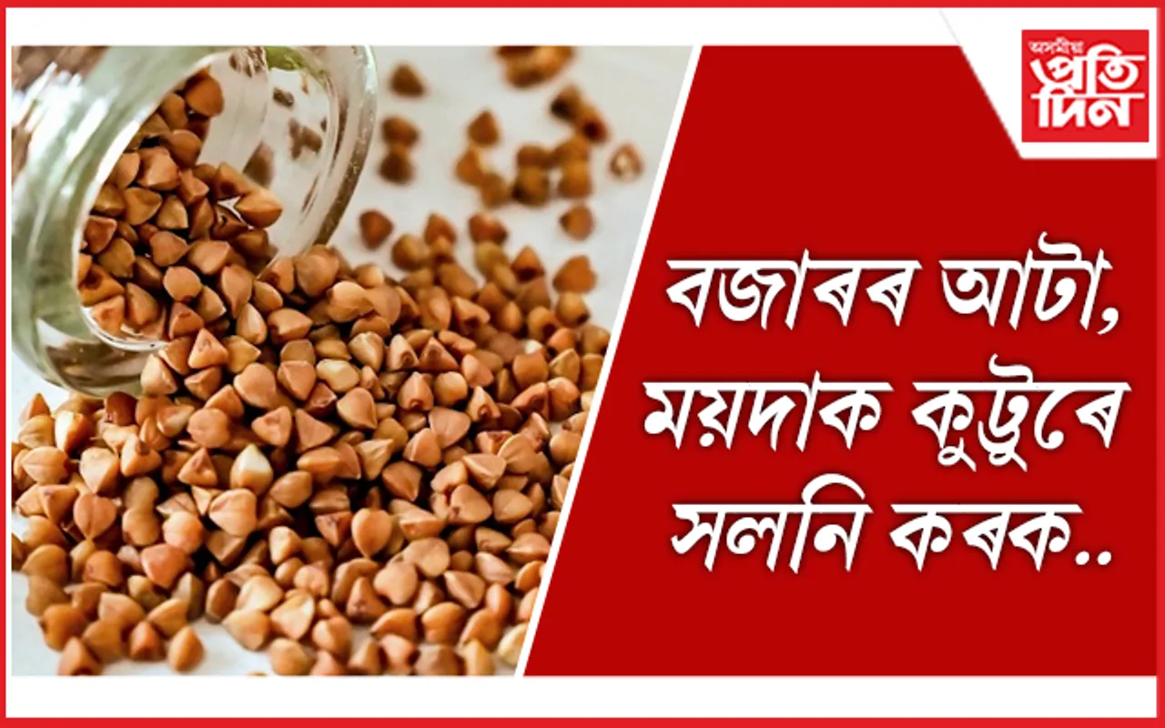 ছুপাৰফুড কুট্টু (buckwheat millet) ৰ বিষয়ে জানেনে?
